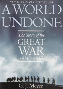 a world undone the story of the great war