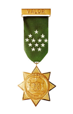 The New York City Police Department Medals and Awards