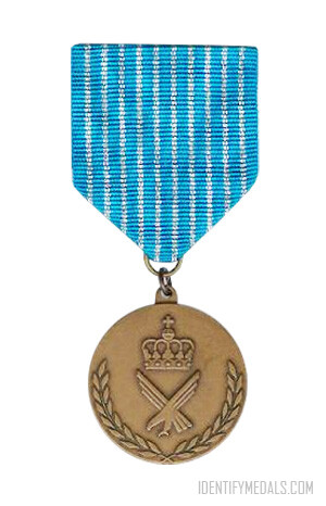 The National Service Medals - Air Force version, obverse.