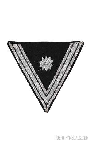 The SS Chevron for Former Police and Military - Nazi Decorations