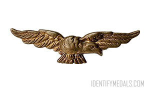 The RAF Officers Albatross Badge