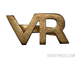 RAF VR Volunteers Badge