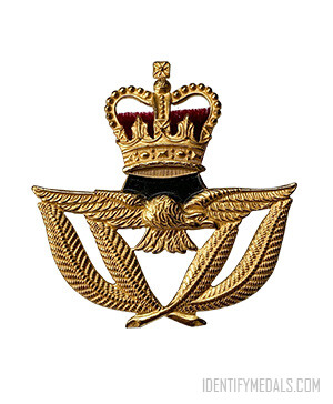 RAF Warrant Officers Badge